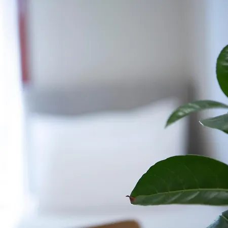 Aparthotel Athina 4*