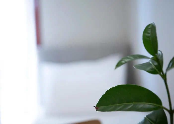 Aparthotel Athina 4*